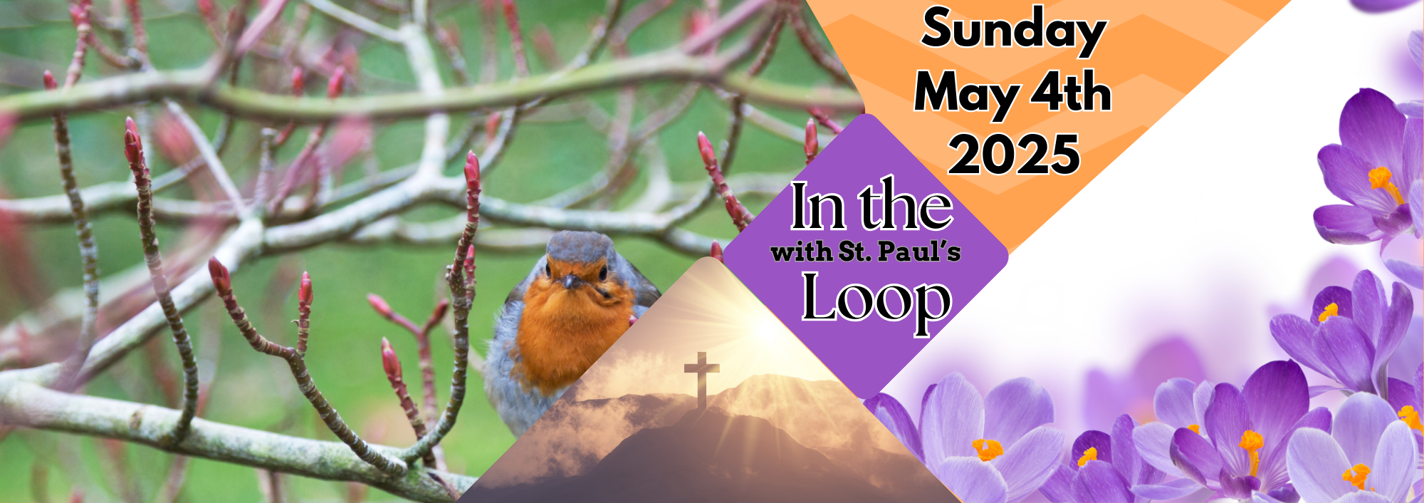 In The Loop!