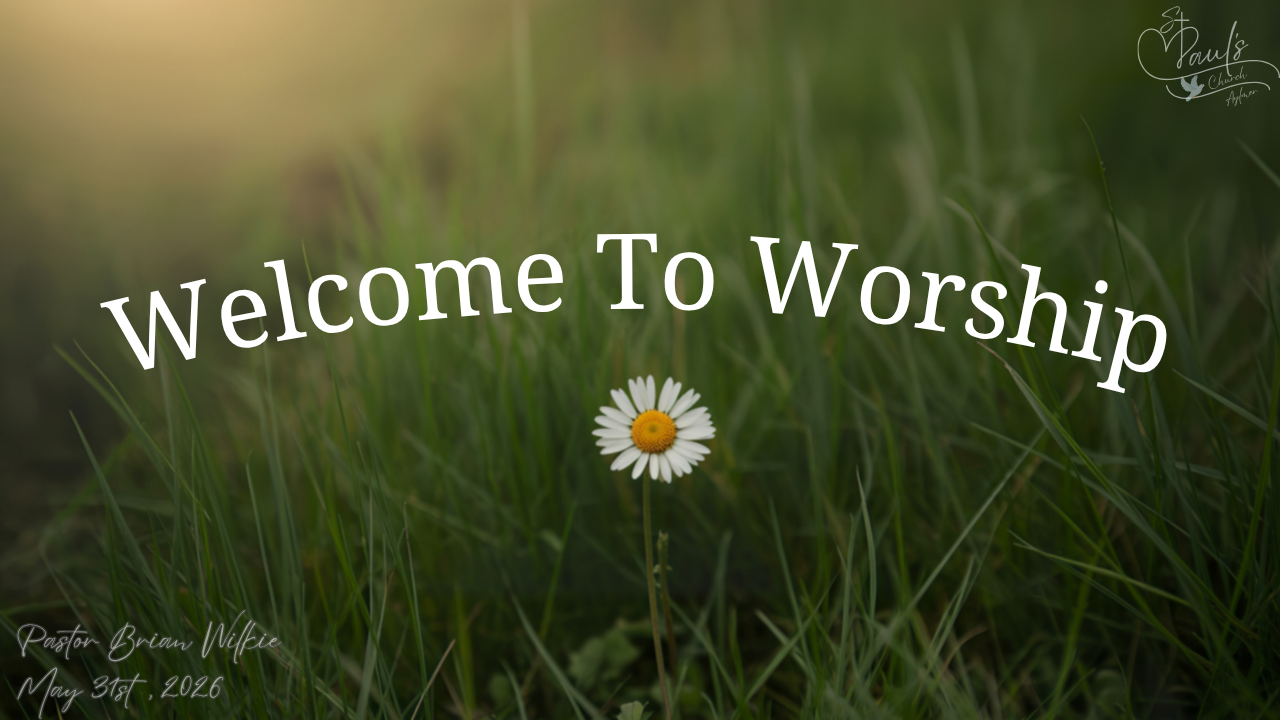 This Week's Service!
